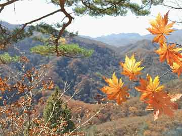 遼陽電視臺(tái)《興遼英才榜》欄目專訪遼聯(lián)集團(tuán)曹玉學(xué)董事長(zhǎng)