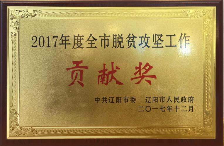 遼聯(lián)信息榮獲2017年度全市脫貧攻堅工作貢獻獎