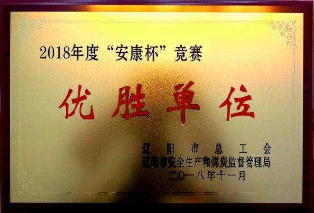 遼聯(lián)集團(tuán)榮獲“2018年度安康杯競(jìng)賽優(yōu)勝單位”